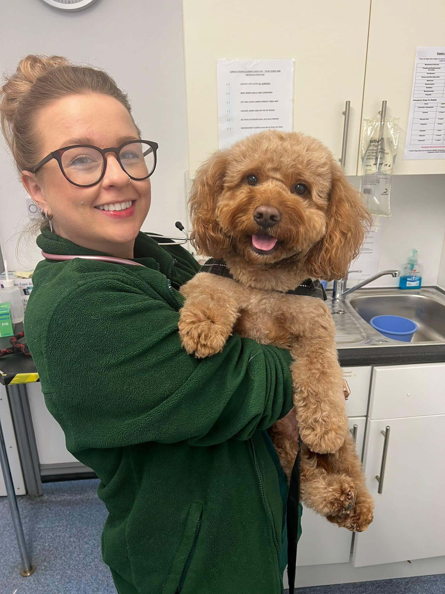 Images The Animal Clinic