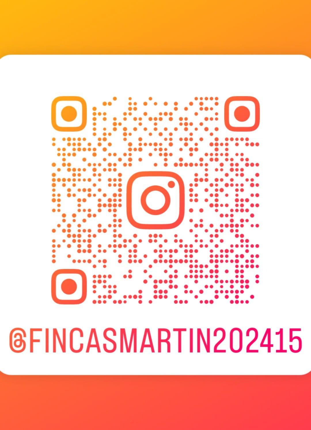 Images Fincas Martín