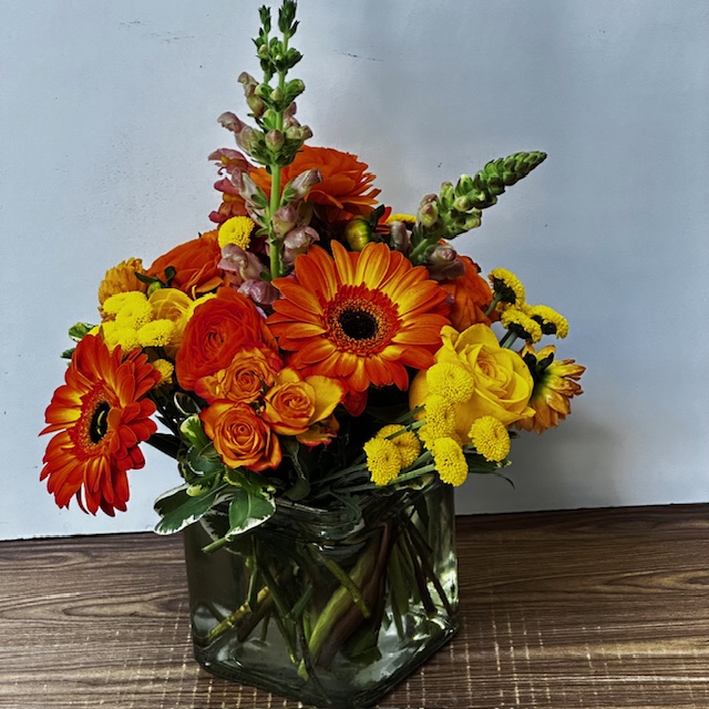 Images Jane's Roses & Flowers