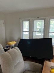 Images Arlotta Painting