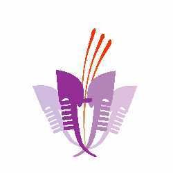 Fondaco delle Spezie srl Logo