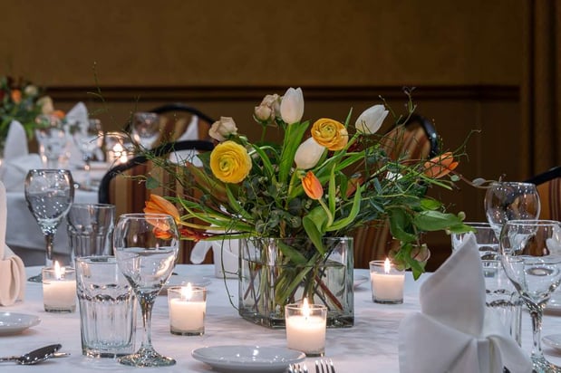 Images Best Western Plus Waterbury - Stowe
