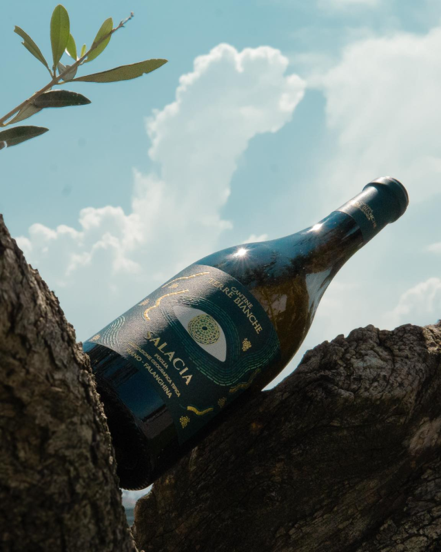 Images Cantine Terre Bianche Cappabianca