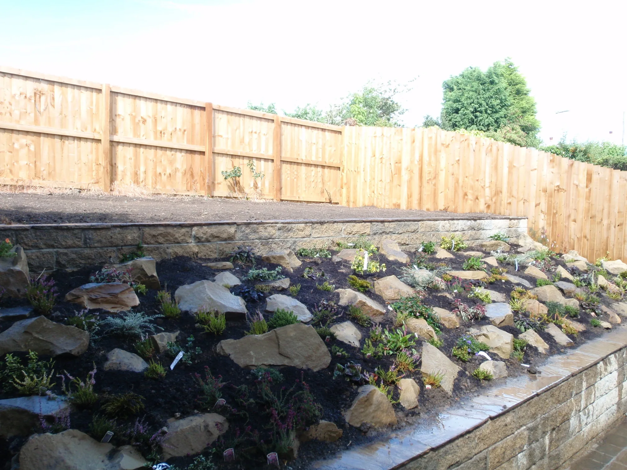 Images D & E Landscapes