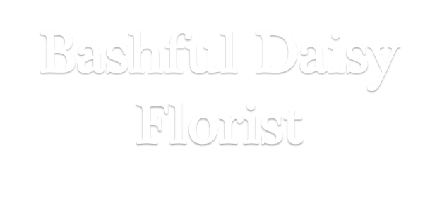 Images Bashful Daisy Florist