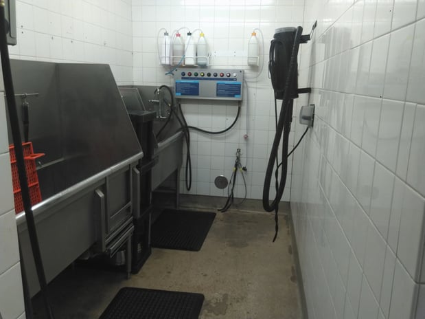 Images Petco Grooming