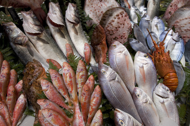 Images Pescheria Sapori dei Mari