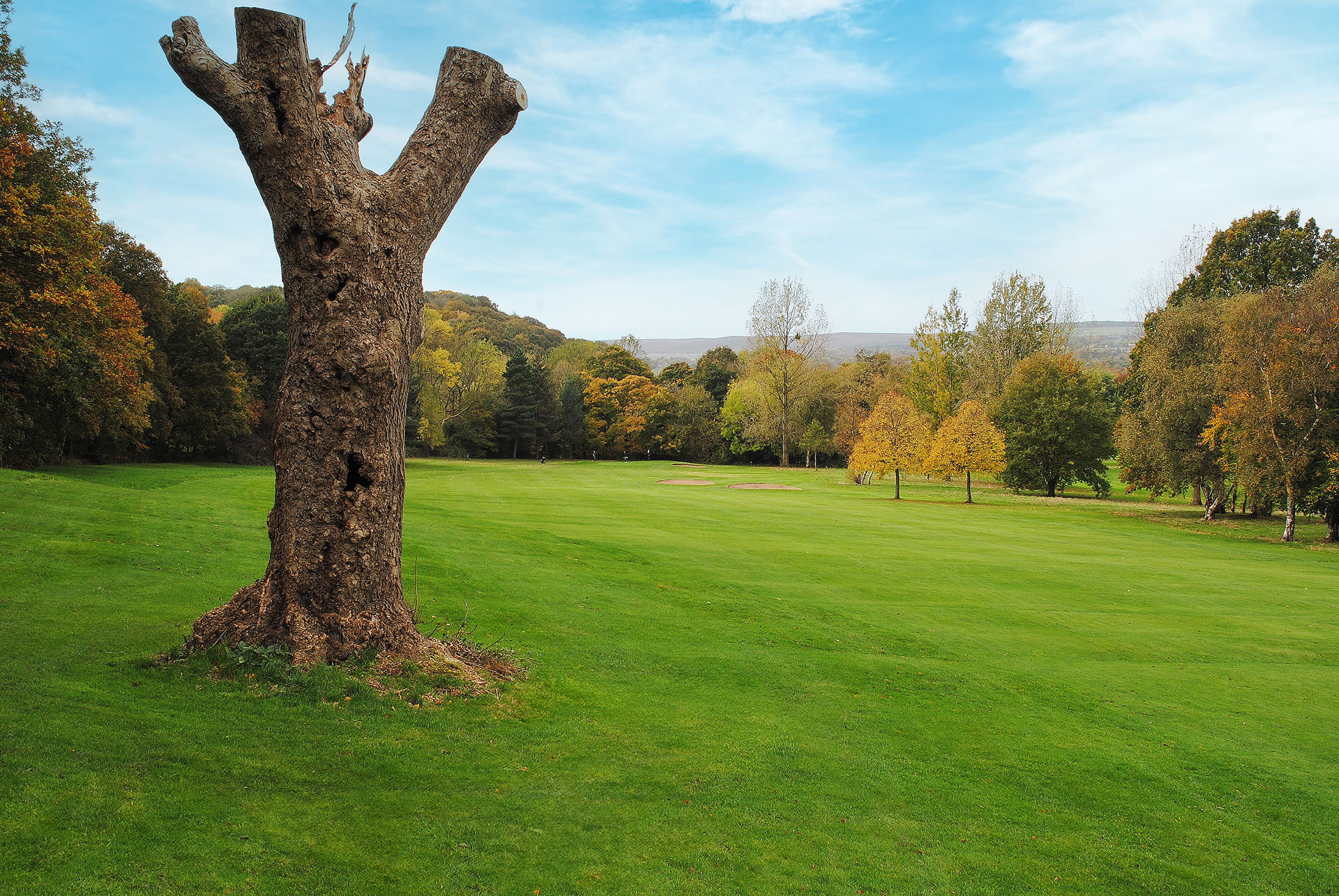 Beauchief Golf Course, nestled in the rolling hills of Sheffield, features lush fairways, mature trees, and scenic views of the surrounding countryside. This picturesque parkland course offers a charming and challenging layout ideal for golfers of all levels.