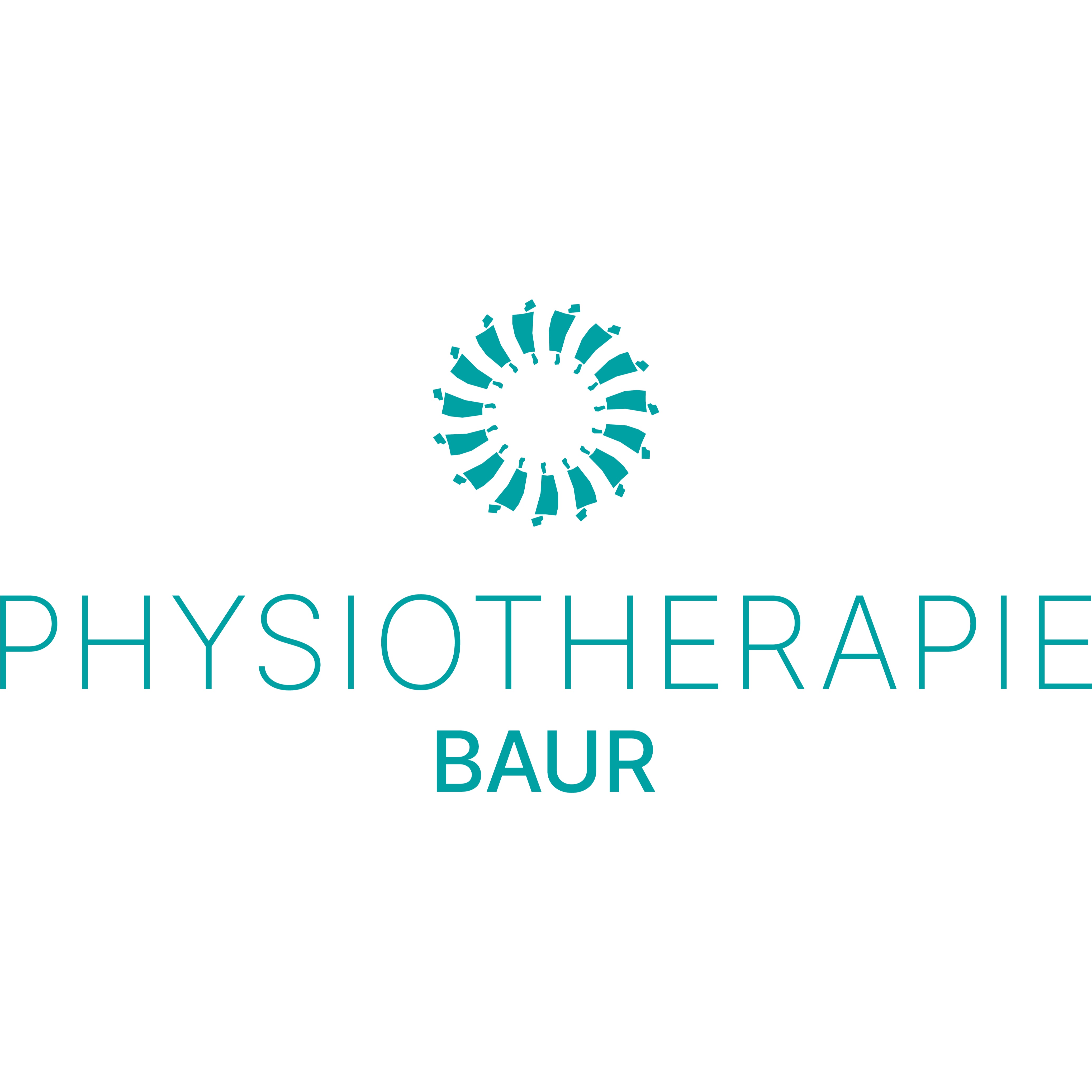 Physiotherapie Baur Inhaber Niclas Baur in Würzburg - Logo