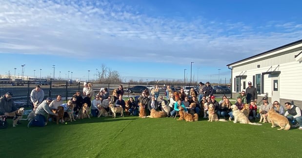 Images Crate Escapes Dog Park + Bar