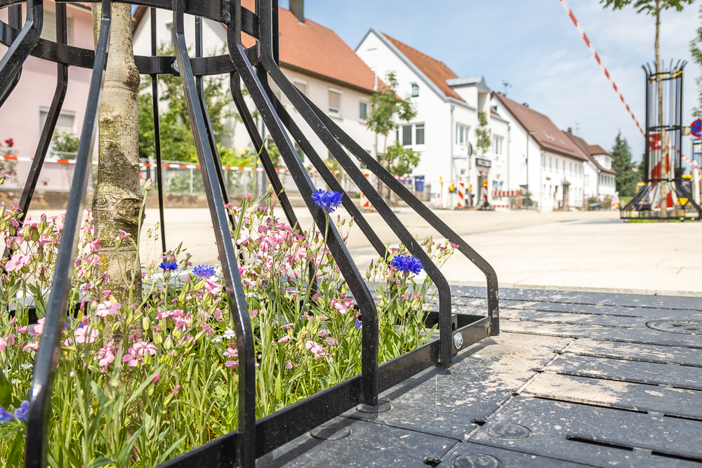 Wasser-Müller Ing.Büro GmbH, Jarekstr. 7 +9 in Biberach an der Riß