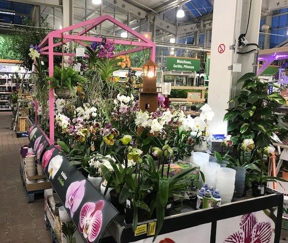 OBI Markt Bielefeld Nord (Heepen) • Bielefeld, Eckendorfer Str. 222