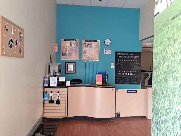 Images Petco Grooming