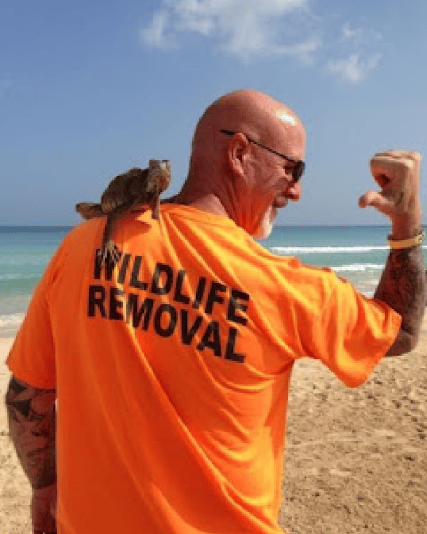 Images Local/US Wildlife Pro