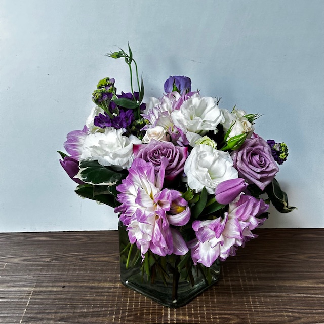 Images Jane's Roses & Flowers