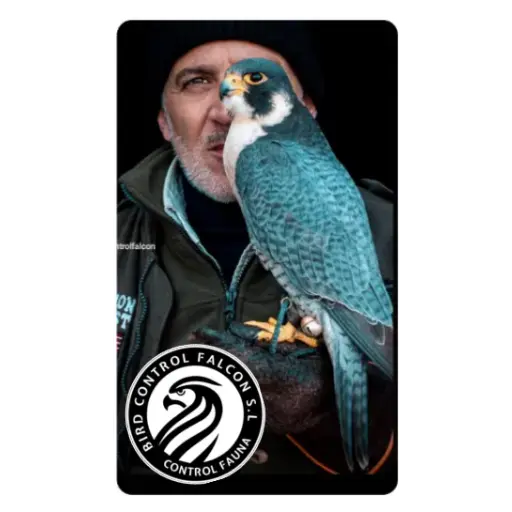 Images Bird Control Falcon S.L.