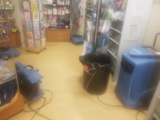 Images EZ Mitigation