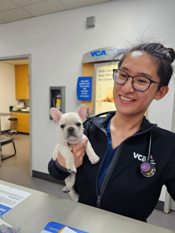 Images VCA San Martin Animal Hospital