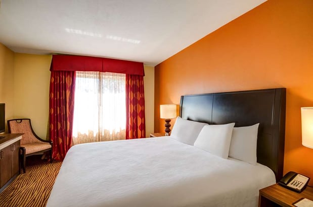 Images Hilton Garden Inn Tampa Ybor Historic District