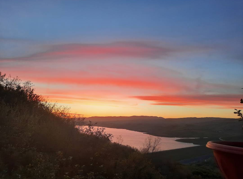 Images Trattoria - Pizzeria Zia Michelina