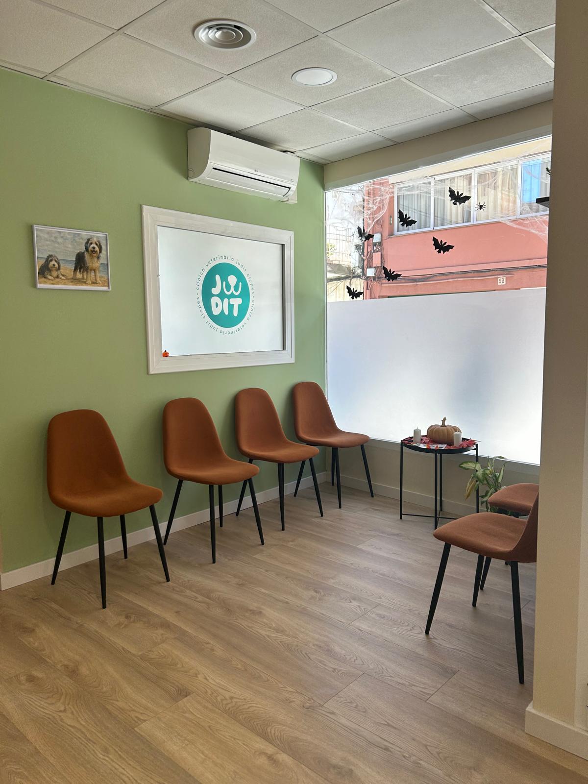 Images Clínica Veterinaria Judit