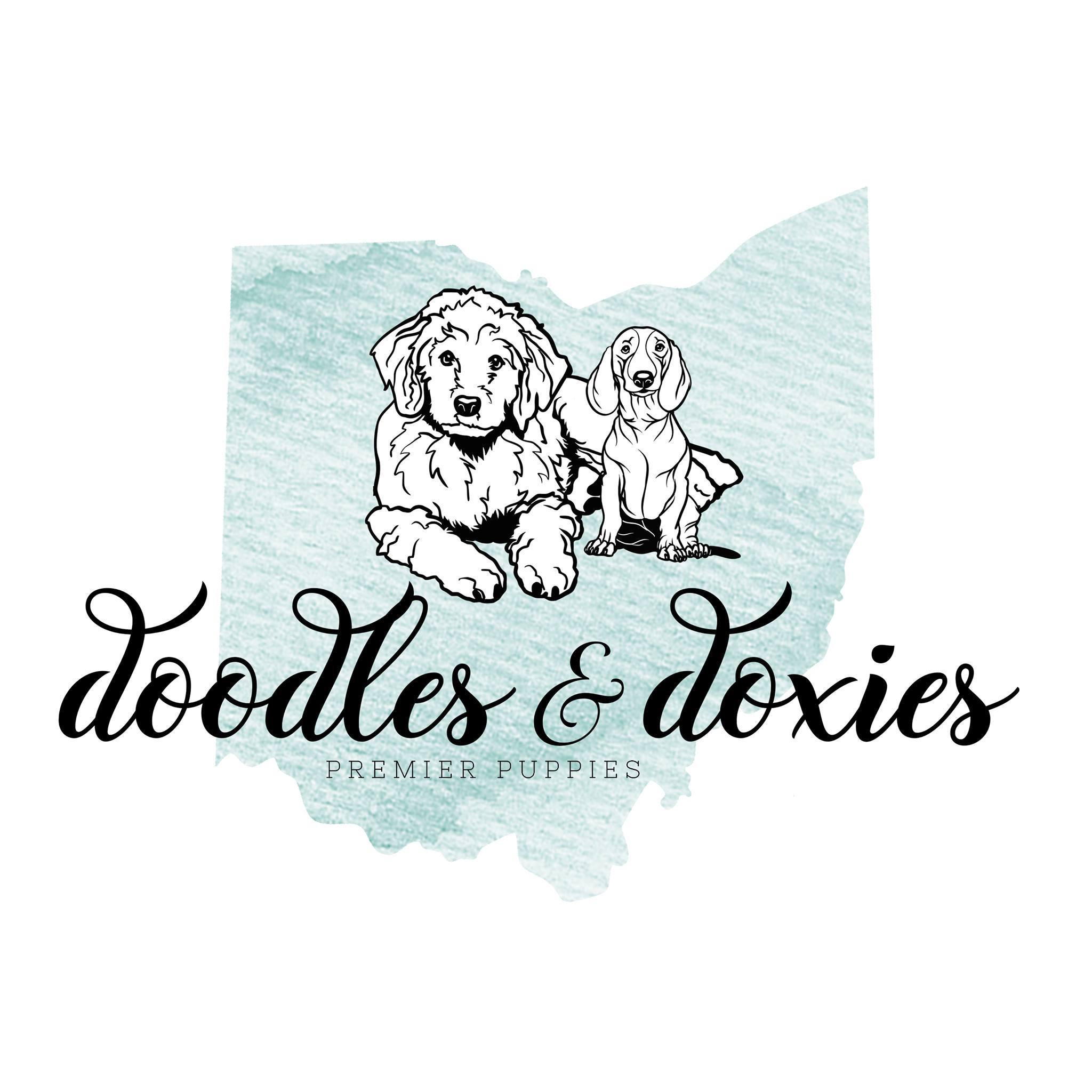 Doodles and Doxies