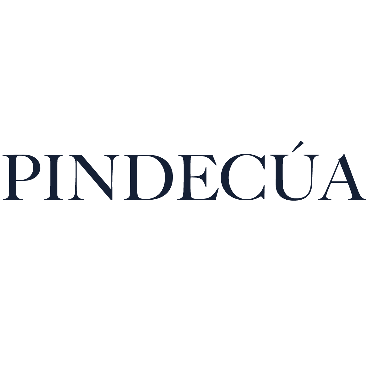 Pindecua S.L. Logo