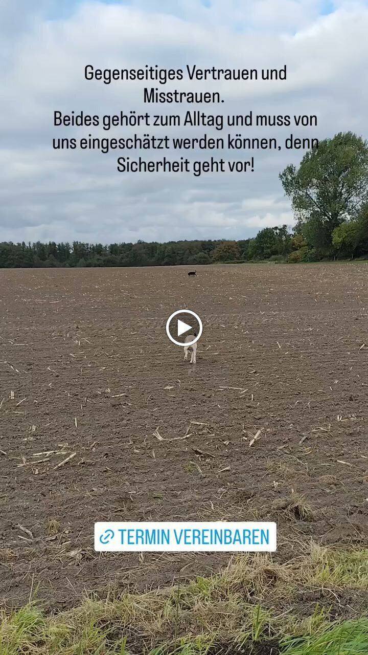 Pfoten Anker, Alt Pastitz 5 in Putbus