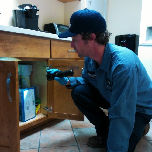 Our pest control team treats your home inside and out to get rid of unwanted guests: ants, cockroaches, fleas, and more.