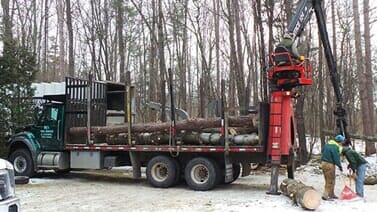 Images DJ's Tree Service