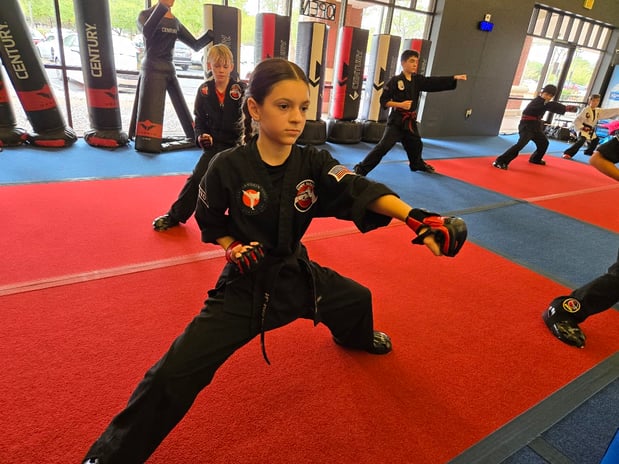Images Zanshin American Karate and Kenpo