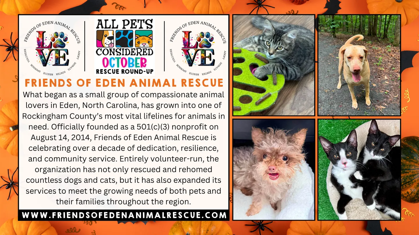 Image of Local Pet Event October 2026 Rescue Round-Up Nearby