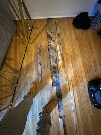 Images 24H Mold Inspection of Santa Clarita