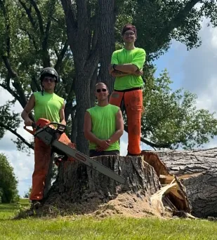 Jake's Tree Service Image