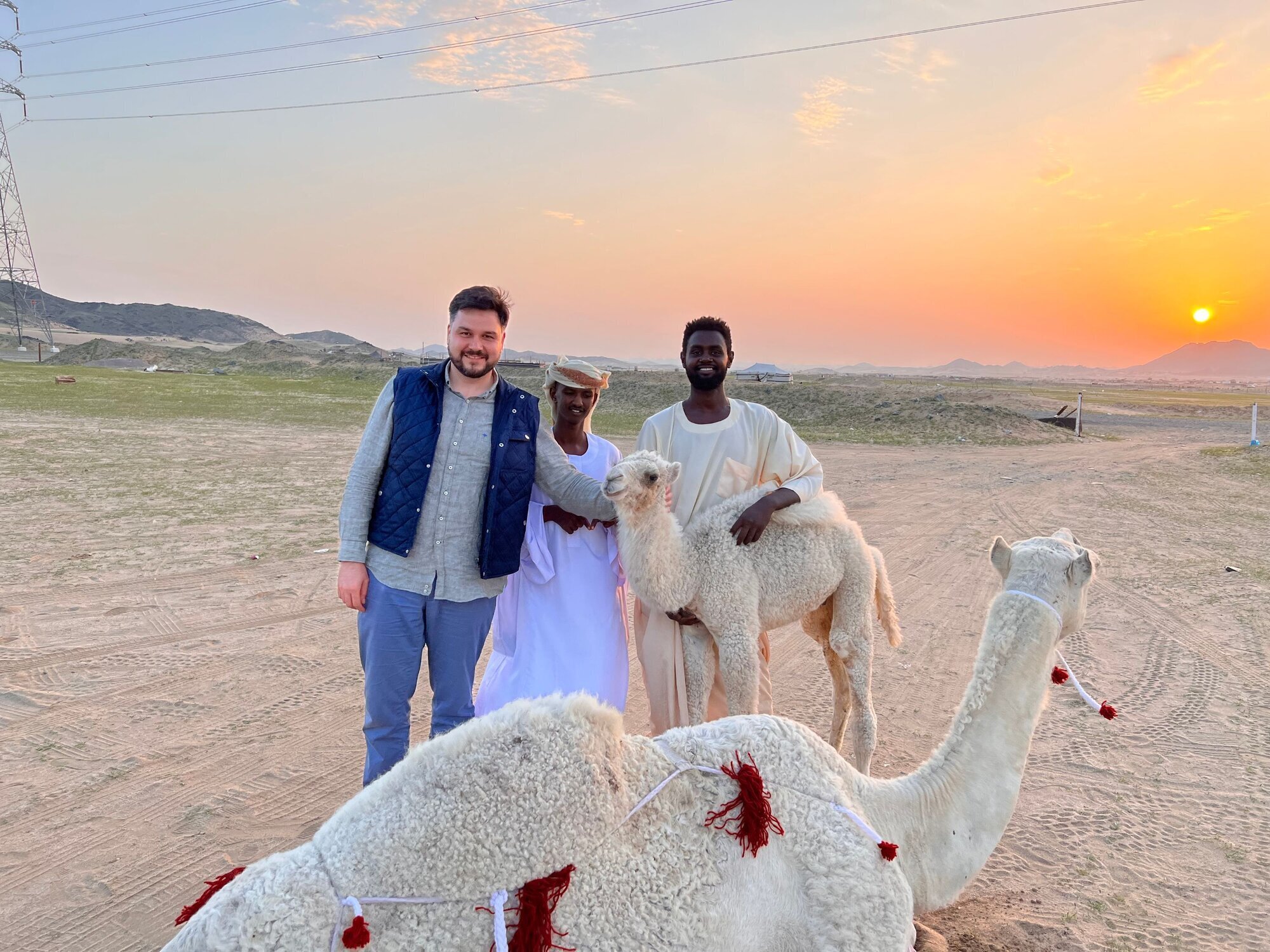 IDEALGATE Travel  Tickets  Hajj & Umrah, Waldstraße 4 in Rüsselsheim am Main