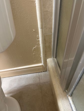 Images 24H Mold Inspection of Riverside