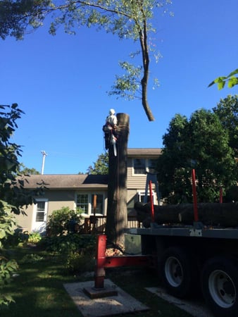 Images Powell Property Maintenance & Tree Service