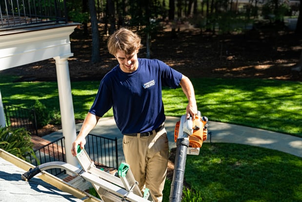 Images Window Hero Charlotte