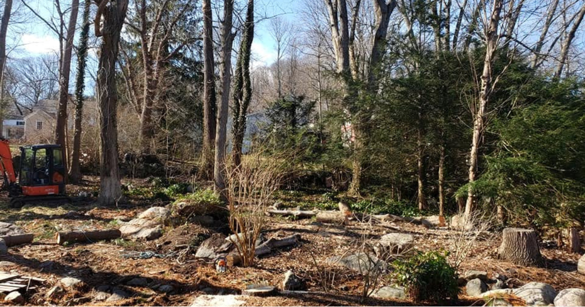 Stump Removal and Grinding in Ledyard, CT