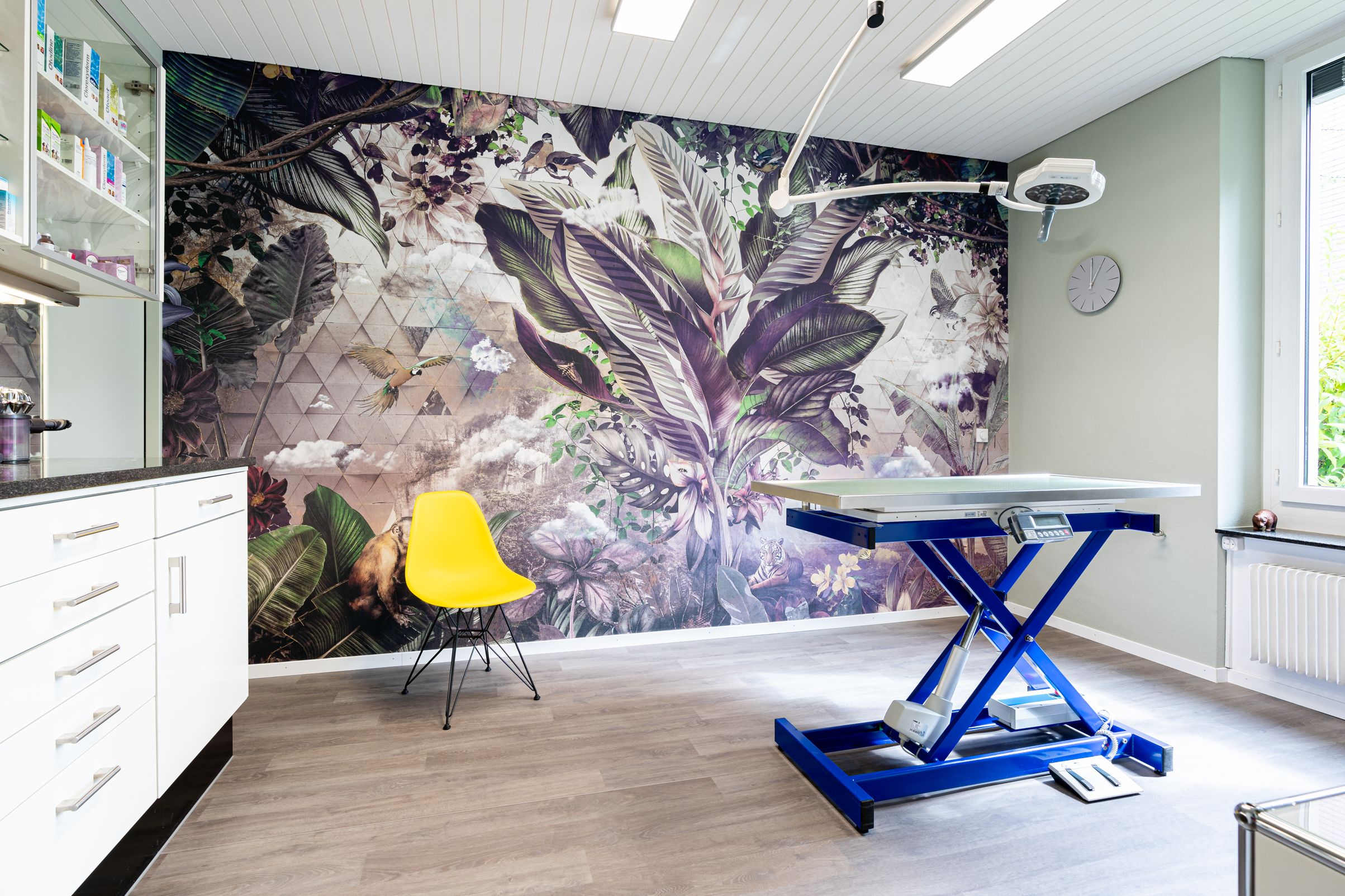 Bilder Kleintierpraxis 54