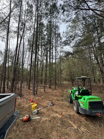 Images Magana Tree Service