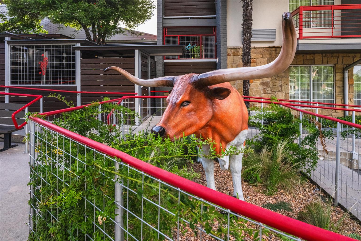 Bull statue 