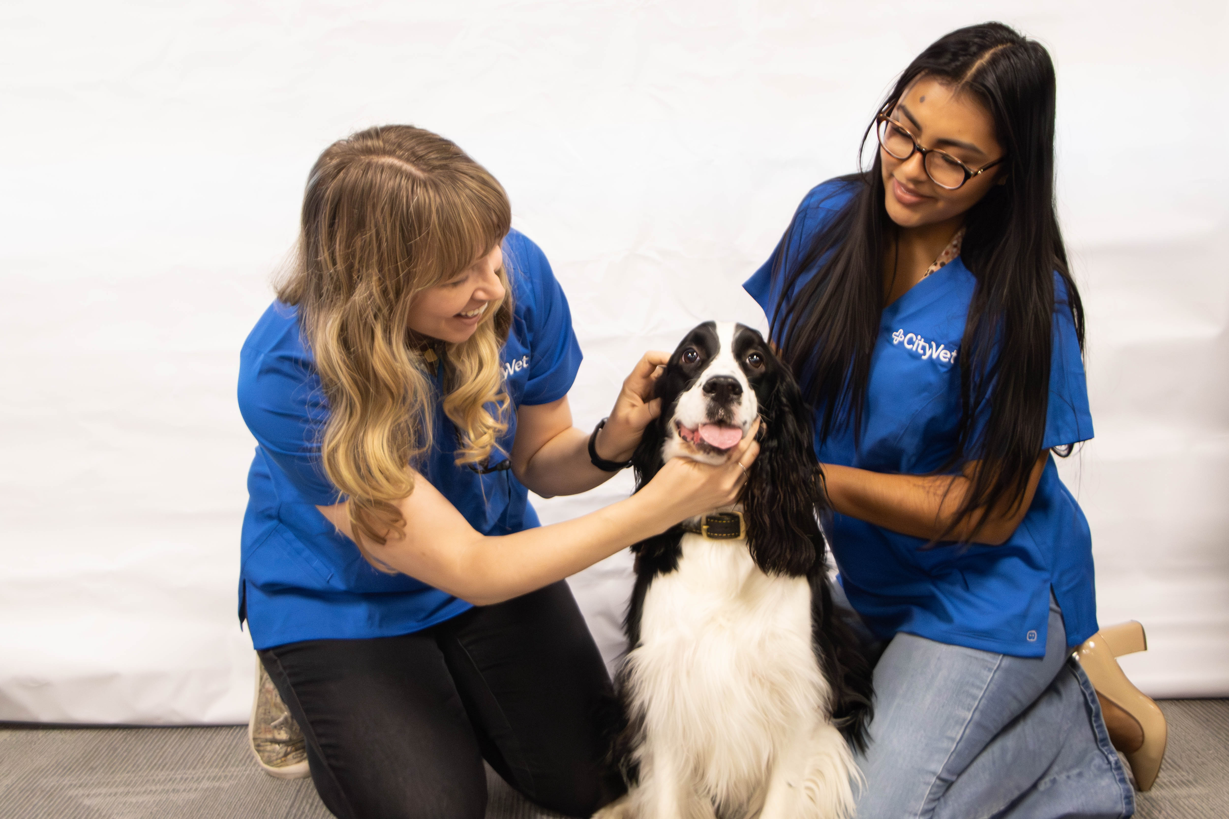 Dr. Amy Jager, owner of CityVet | Verrado and a tech examining a dog