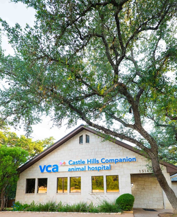 Images VCA Castle Hills Companion Animal Hospital