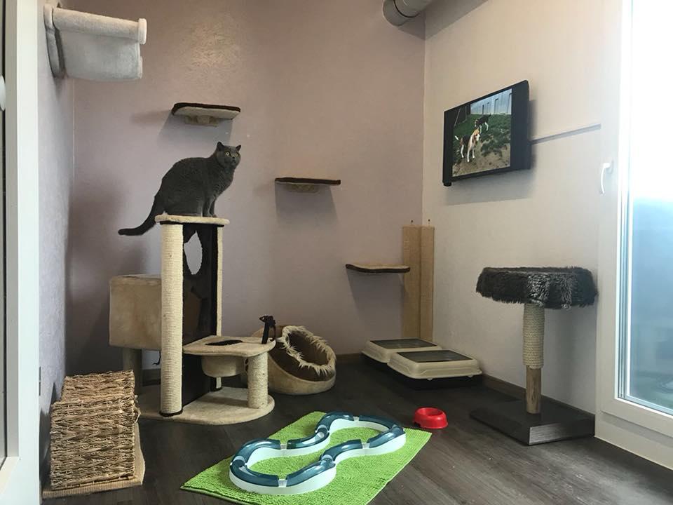 Tierhotel 5 Stern, Grienackerweg 3 in Niedergösgen