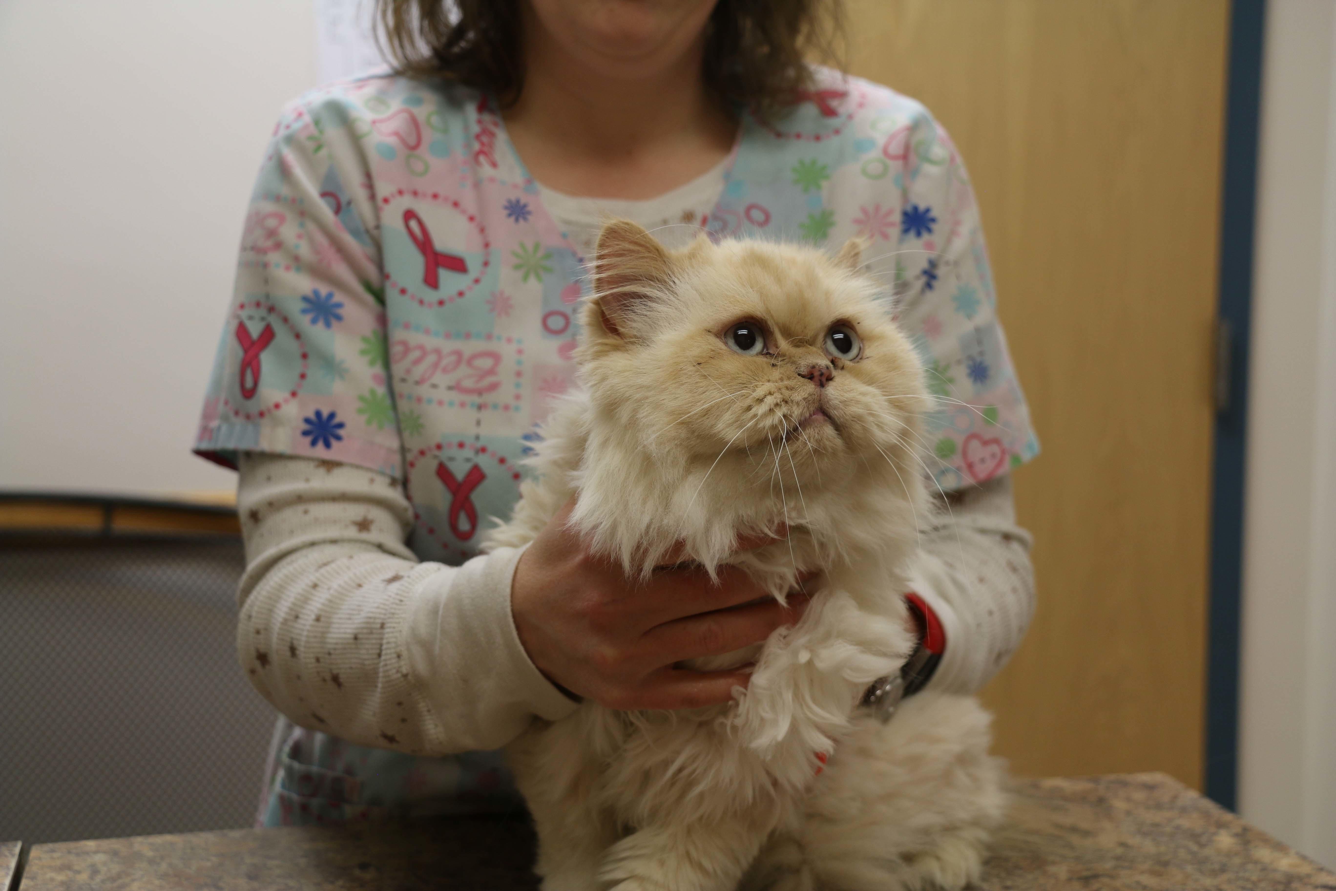 This patient visited us for an annual wellness visit, and she is just as healthy as she is gorgeous!