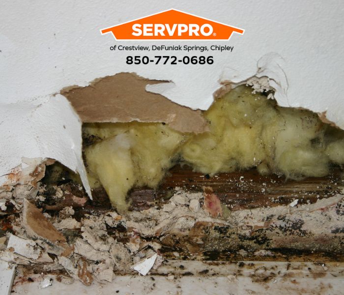 Images SERVPRO of Crestview, DeFuniak Springs, Chipley