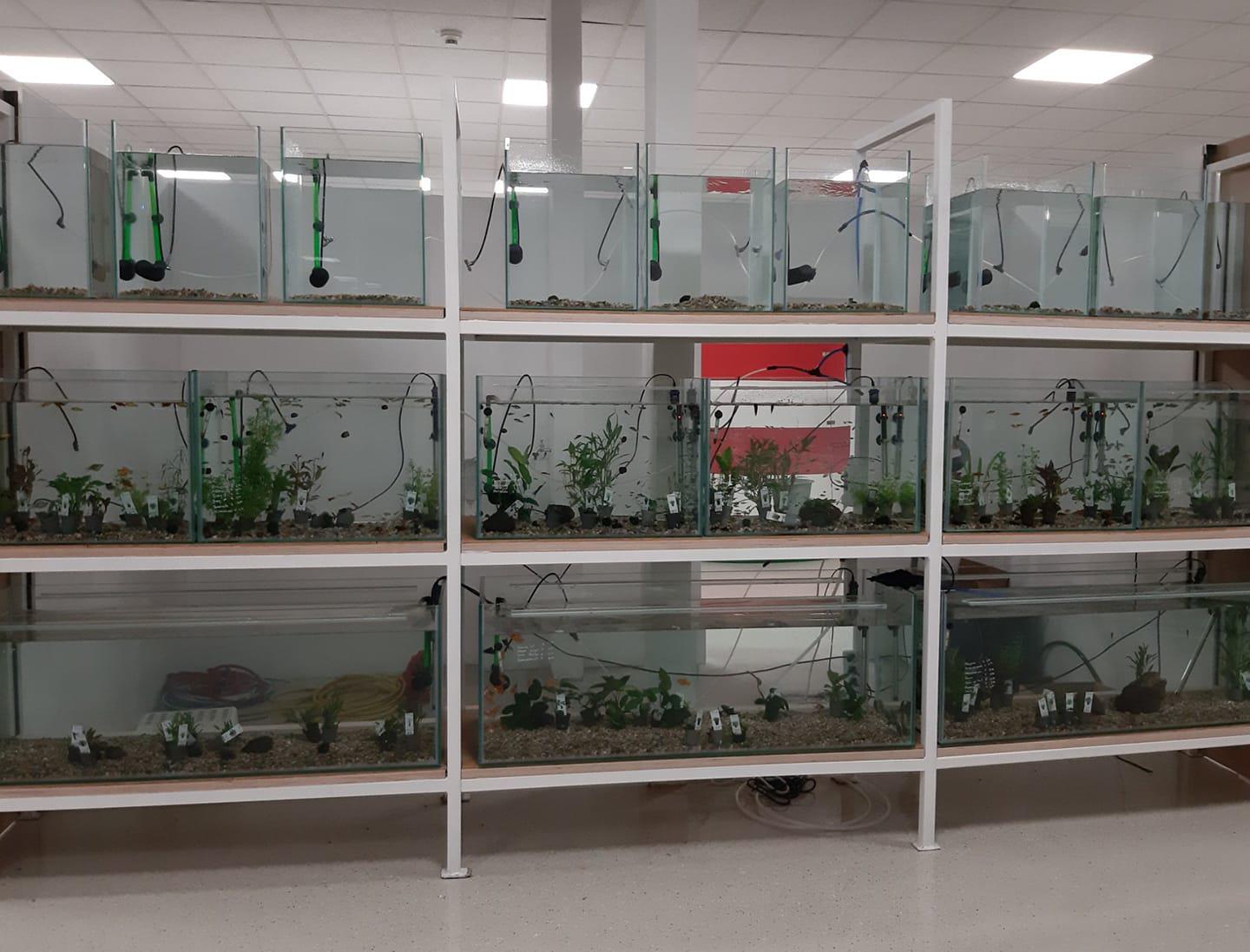 Bianca's Tierparadies, Thallerstraße 4 in Feldbach