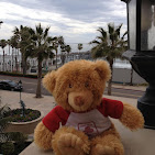 State Farm&reg; teddy bear displayed in the Scott Fischer insurance office in Longview, WA
