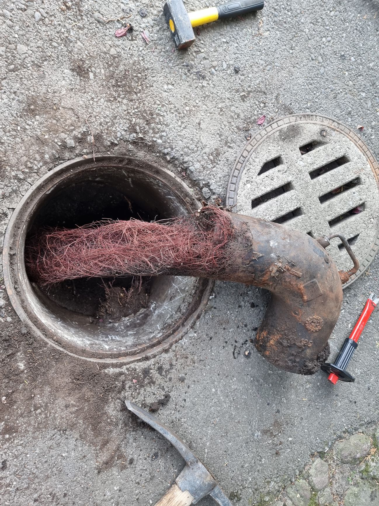 Alpha Kanalunterhalt GmbH, Gfennstrasse 42 in Dübendorf